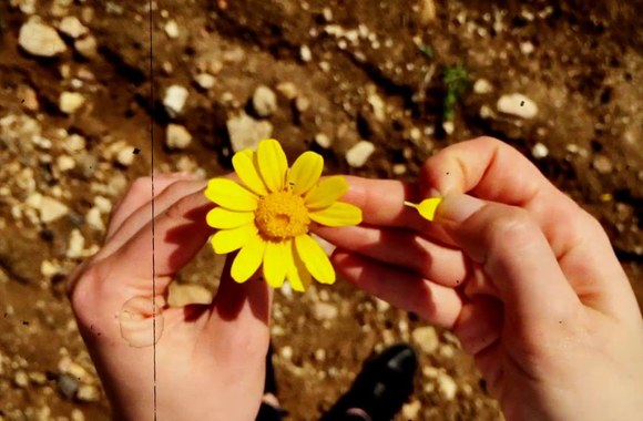 irena-starosaite-ir-zilvinas-zvagulis-lauksiu-amzinai