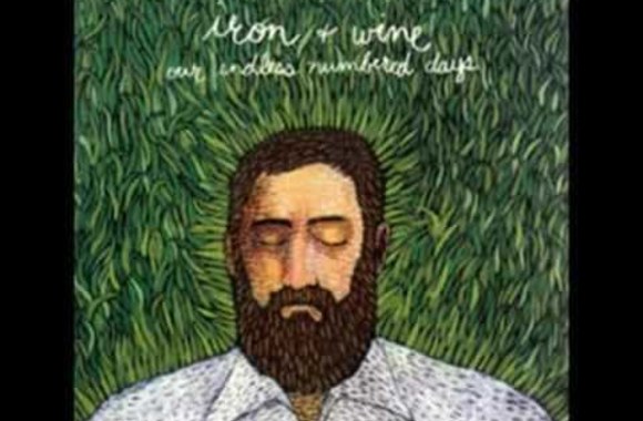 iron-and-wine-sodom-south-georgia