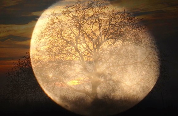 ludwigo-van-beethoveno-menesienos-sonata