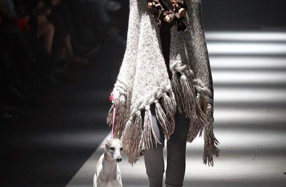 Kolekcija „Medžioklė“