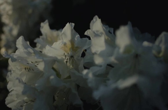 christian-loffler-haul-feat-mohna