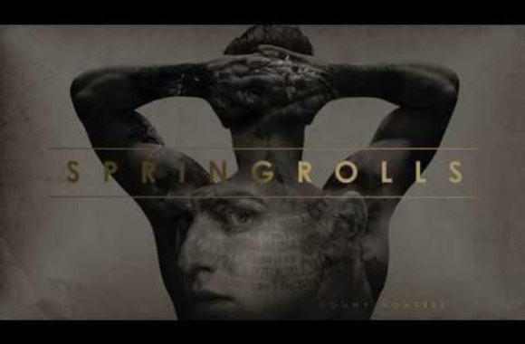 donny-montell-springrolls