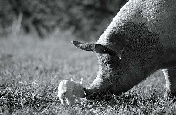 Kadras iš filmo „Gunda“ / „Kino pavasario“ nuotr.