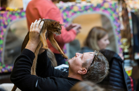 Nemokama kačių paroda