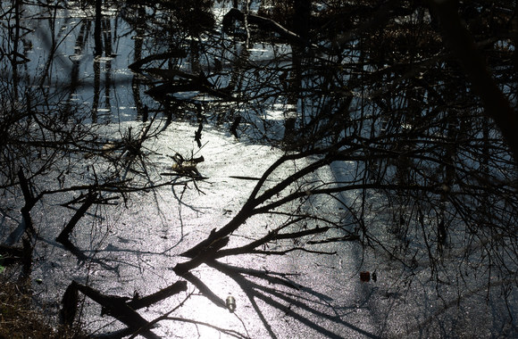Fotografė Greta Skaraitienė vaikščioja Angelų kalvos takais/„ŽMONĖS Foto“ nuotr.