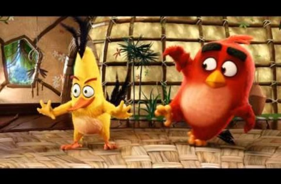 animacinis-filmas-seimai-piktieji-pauksciai-kinuose-nuo-geguzes-13-d