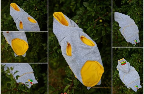 Rimos Urnikytės kurti drabužiai šunims