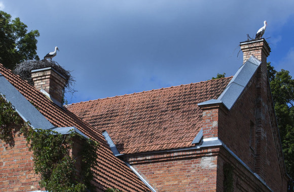 Evelinosą Sašenko koncertas Šešuolėlių dvare