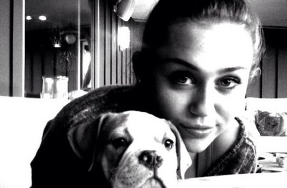 Miley Cyrus ir Ziggy