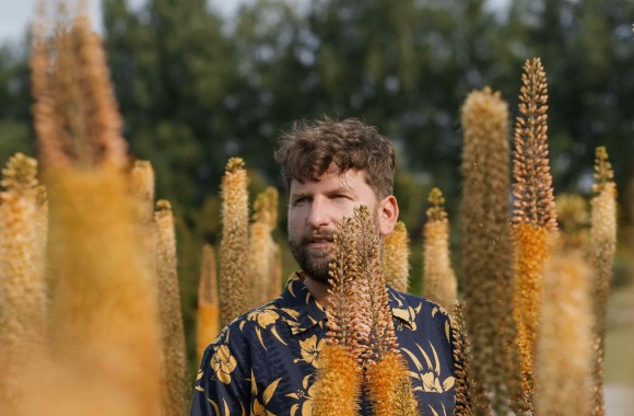 „Golden Parazyth“ 