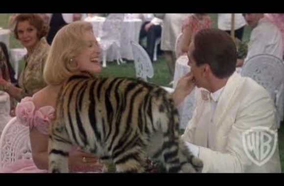 likimo-nepakeisi-angl-reversal-of-fortune-1990