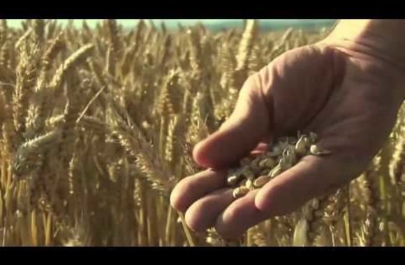 filmo-maisto-reikalai-anonsas