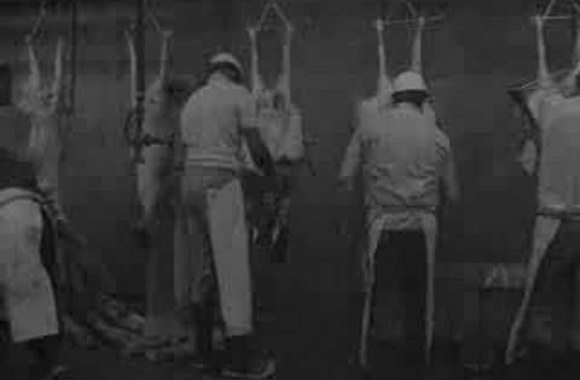 aviu-zudikas-angl-killer-of-sheep-1978