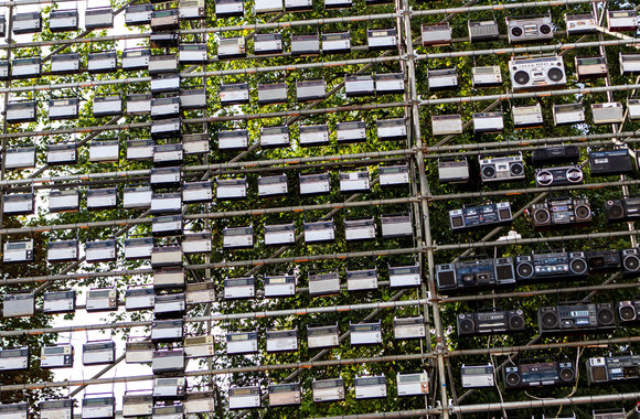 Išskirtinė LRT radijo imtuvų instaliacija Katedros aikštėje/Pauliaus Peleckio/„ŽMONĖS Foto“ nuotr.