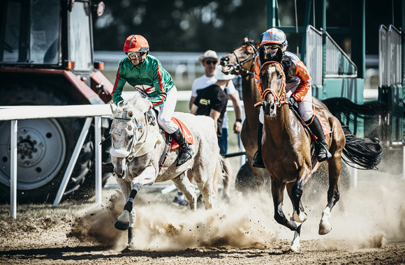 Renginio „Laukiniai vakarai“ akimirka / Organizatorių nuotr.

