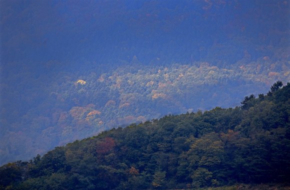 Rudens spalvomis dažosi Europos gamta