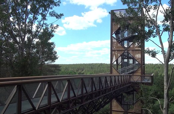 medziu-laju-apzvalgos-takas-anyksciuose