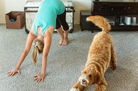 Reagano mėgsta pamėgdžioti savo šeimininkus