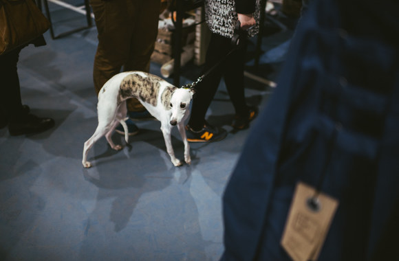 „Uptown Market“ mugės akimirka