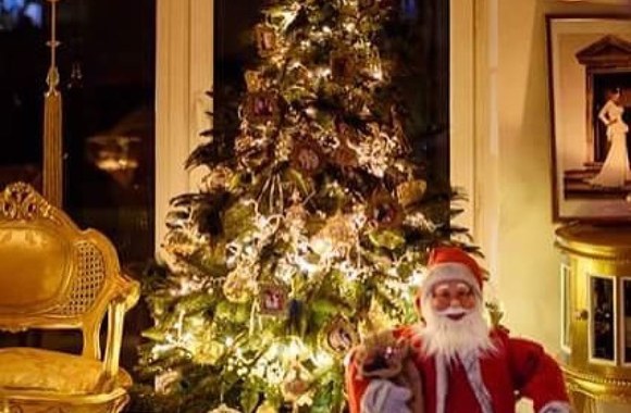 Ingos ir Dariaus Budrių namai