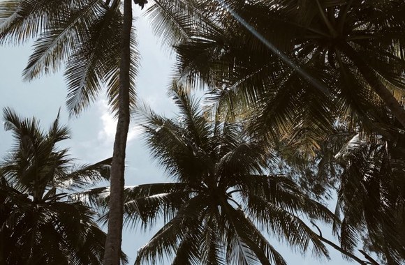 Monikos Kazakevičiūtės ir jos vyro Jono Kriščiūno atostogos Kenijoje