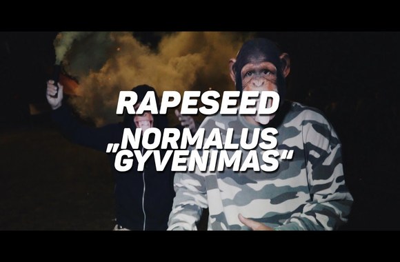 rapeseed-normalus-gyvenimas