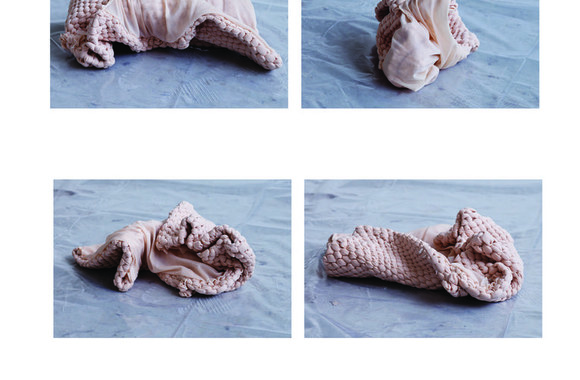 Liucijos Domkutės darbai