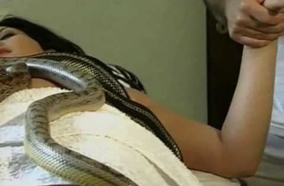 gyvaciu-masazas-izraelyje