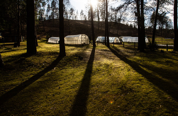 Gretos Skaraitienės fotoreportažas iš Stirnių piliakalnio