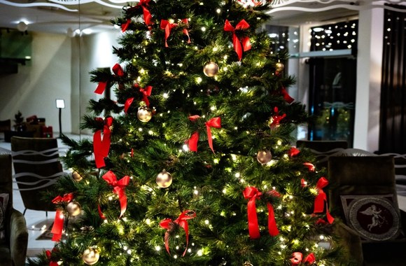 Viešbutis „Gabija“ / Projekto partnerio nuotr.