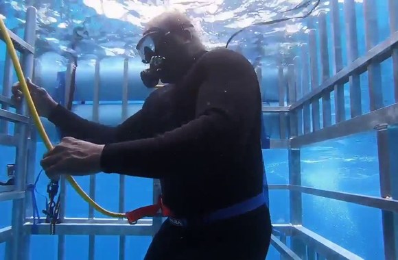 shark-gets-in-shaquille-oneals-cage