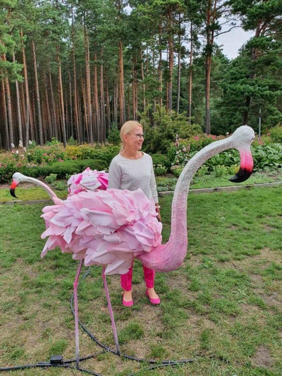 Projekto „Svajones nešantys flamingai“ pristatymo akimirka / „LPF Mamų unijos“ nuotr.