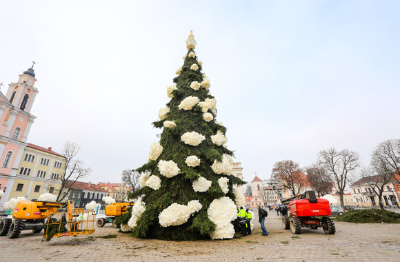 Kaune papuošta Kalėdų eglė / Teodoro Biliūno / „ŽMONĖS Foto“ nuotr.