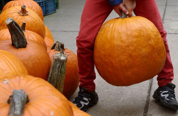 Ūkininkų mugė Austrijoje