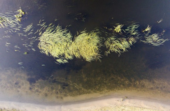 Rudeniškai spalvinga Lietuva