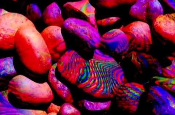 d-christian-is-naujo-official-2015