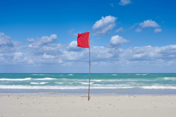 Įspėjamoji vėliava paplūdimyje / 123RF.com nuotr.