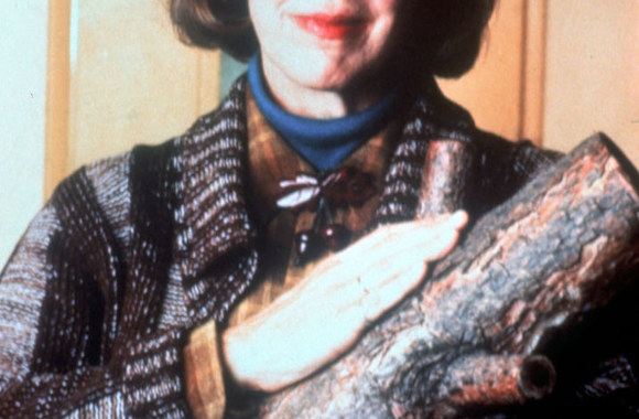 Kadras iš serialo „Tvin Pyksas“