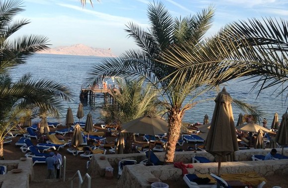 Nijolės Narmontaitės atostogų Egipte akimirka