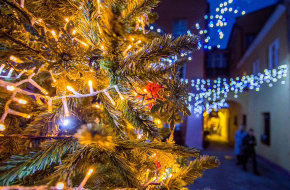 Šv. Martyno diena Vilniuje