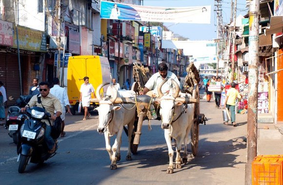 Meinardo ir Elenos kelionės