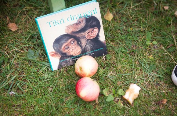 Andrius Tapinas prie Rusijos ambasados valgė lenkiškus obuolius.