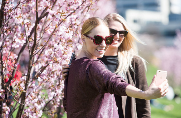 Šiltas penktadienis suviliojo vilniečius pasidžiaugti japoniškomis vyšniomis 