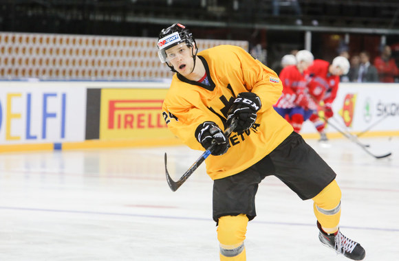 Ledo ritulio rungtynių Lietuva - Kroatija akimirka