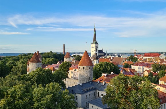 Talinas / Eglės Daugėlaitės nuotr.