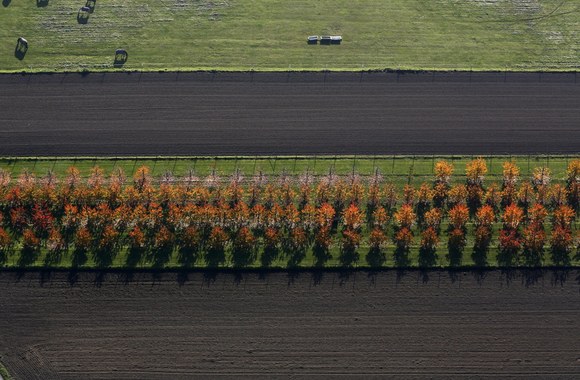 Rudens spalvos Europoje