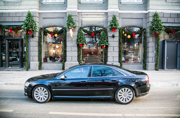 Debiutuojančio renginio„L'Oréal Professionnel Baltic Bridal Fashion Show“ pristatymas