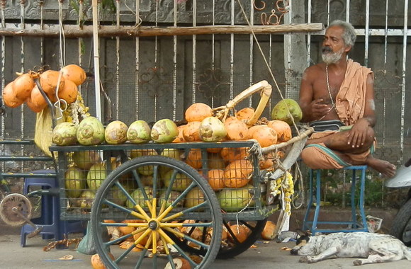 Rasa Žukauskaitė lankėsi Indijoje