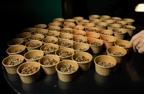 „Šiandienos filmų rytojui“ pristatymas / Roberto Daskevičiaus nuotr.