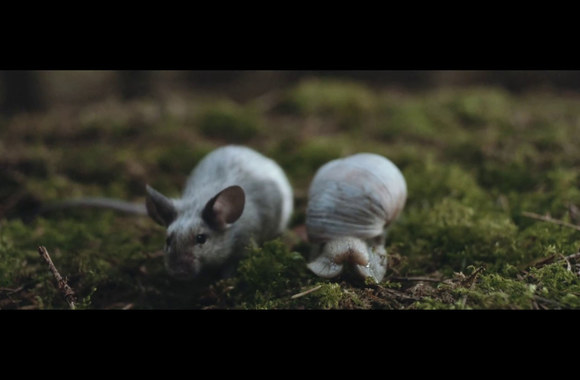 alt-j-in-cold-blood-official-video